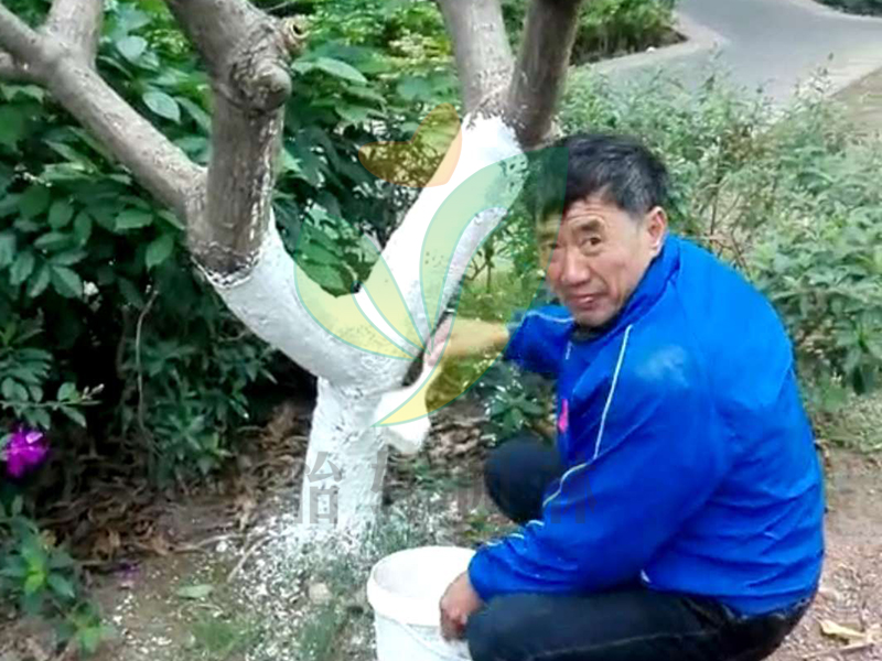 怡軒園林綠化養(yǎng)護(hù)