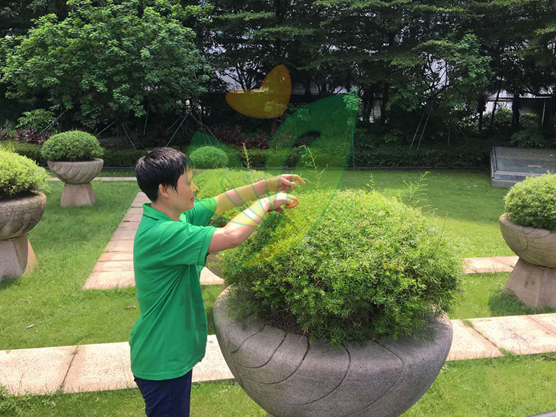怡軒園林綠化養(yǎng)護(hù)