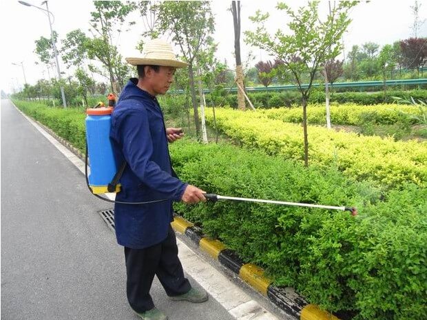 道路綠化養(yǎng)護(hù)