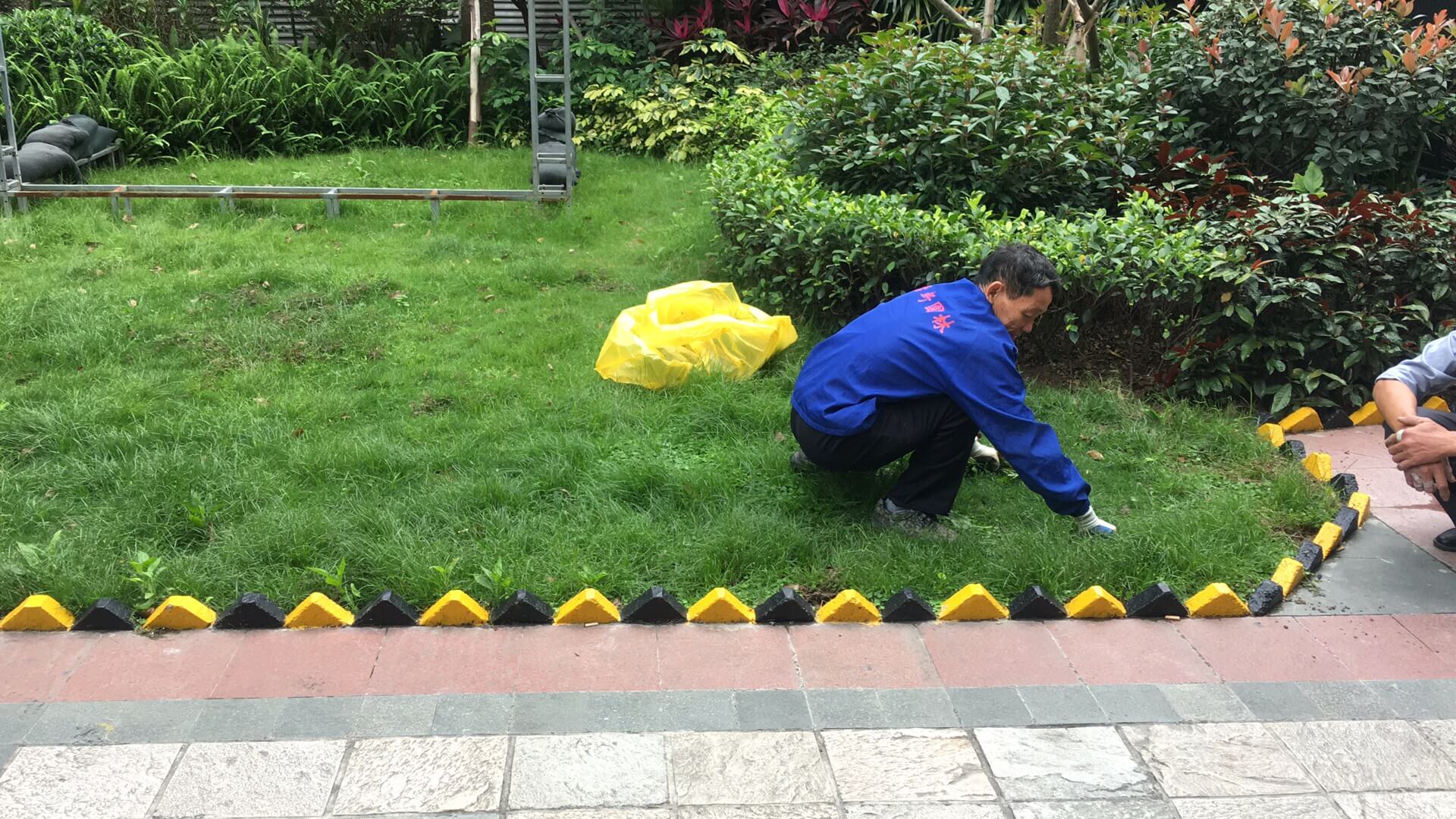 綠化養(yǎng)護(hù)草坪修剪