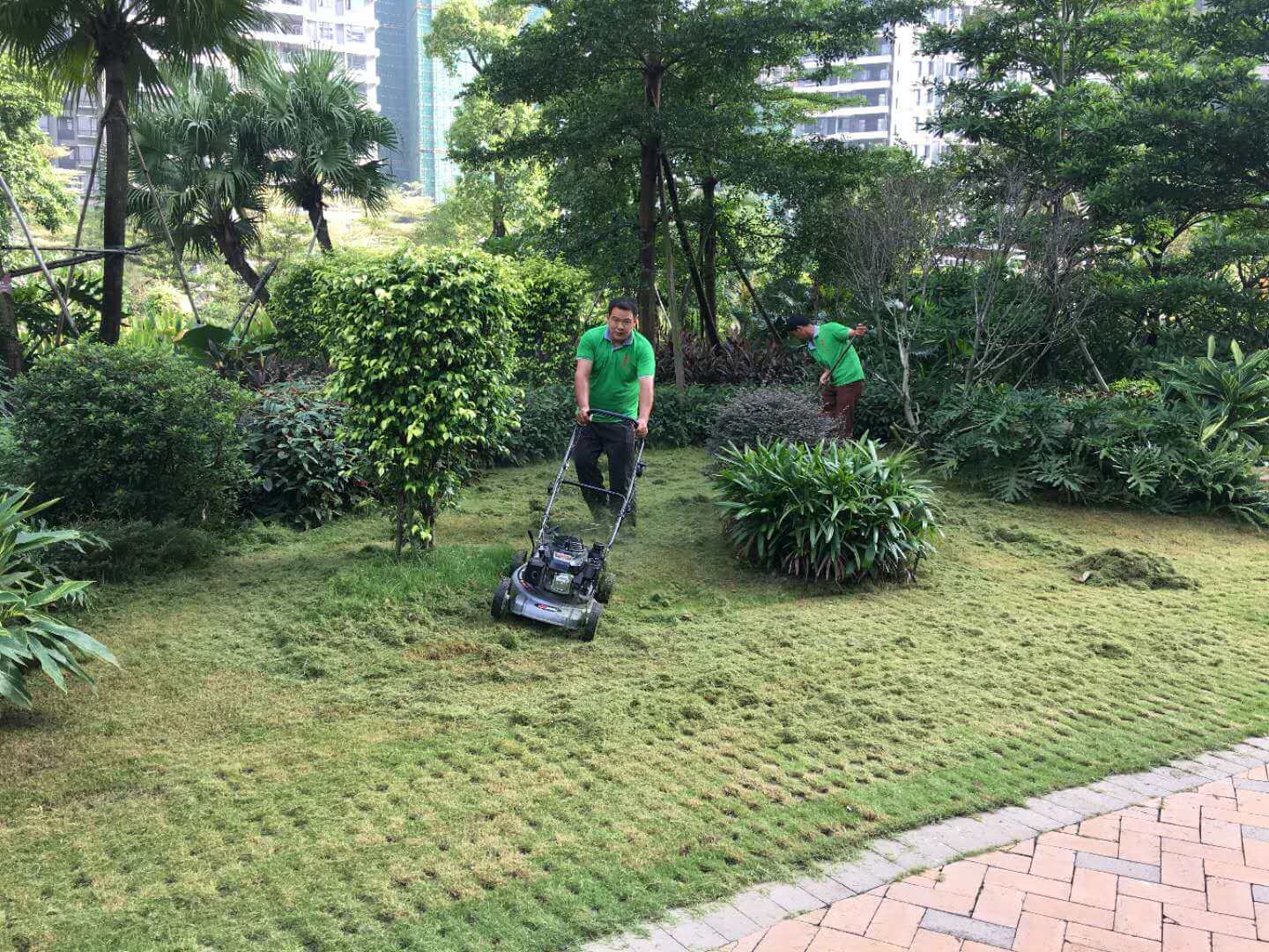 綠化維護(hù)