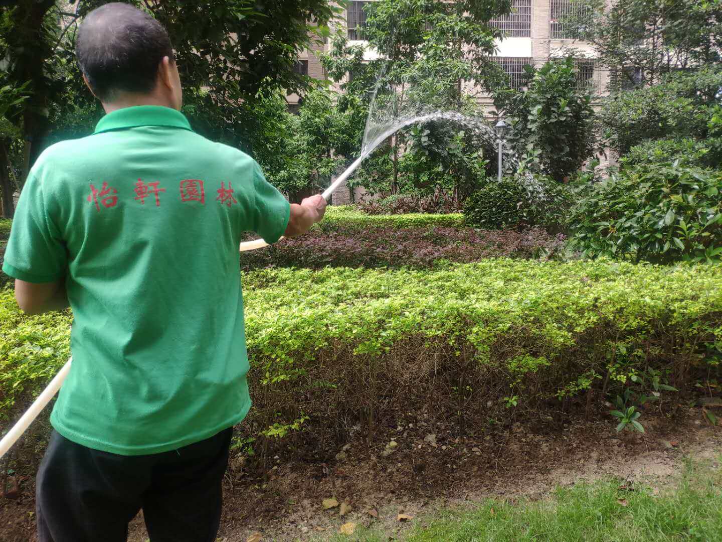 小區(qū)綠化維護(hù)