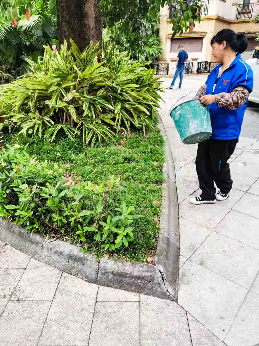 小區(qū)綠化養(yǎng)護(hù)